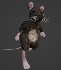 a mouse on its hind legs running